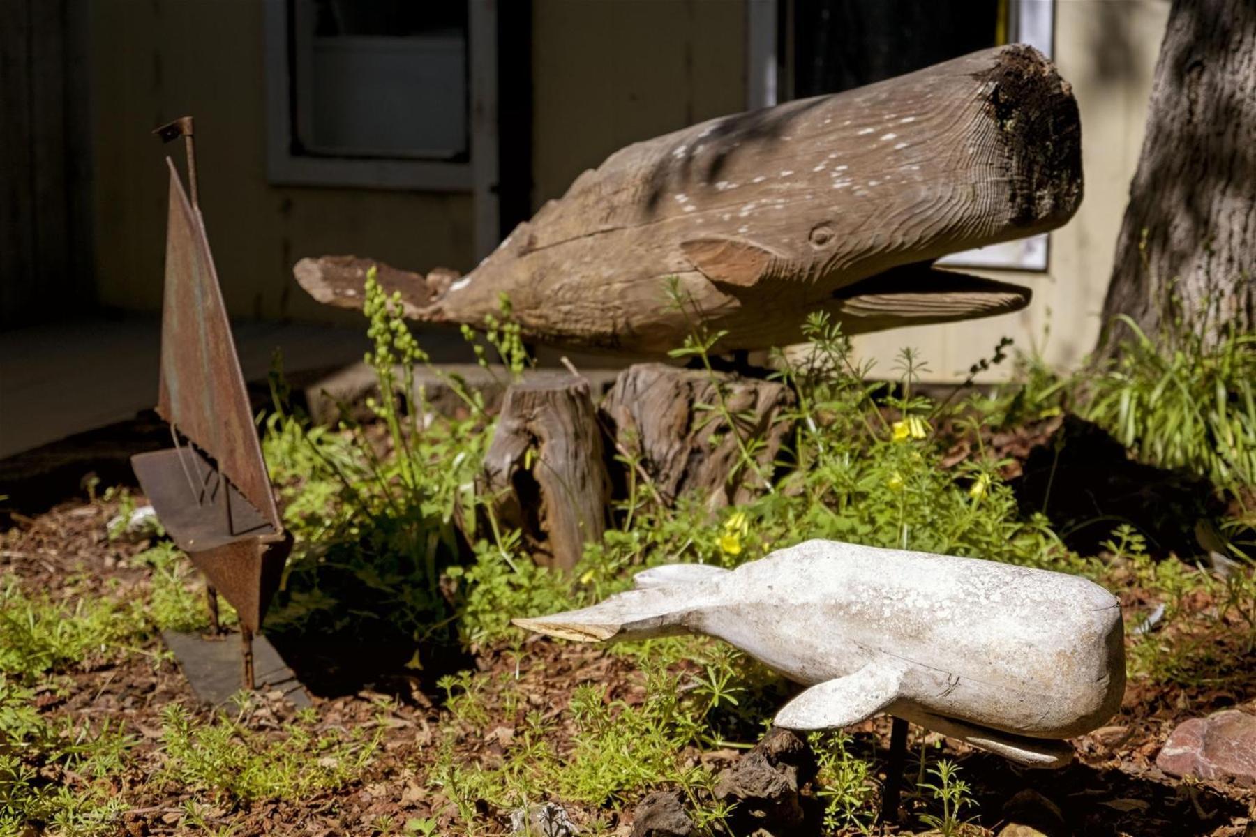 Villa Grey Whale à Fort Bragg Extérieur photo